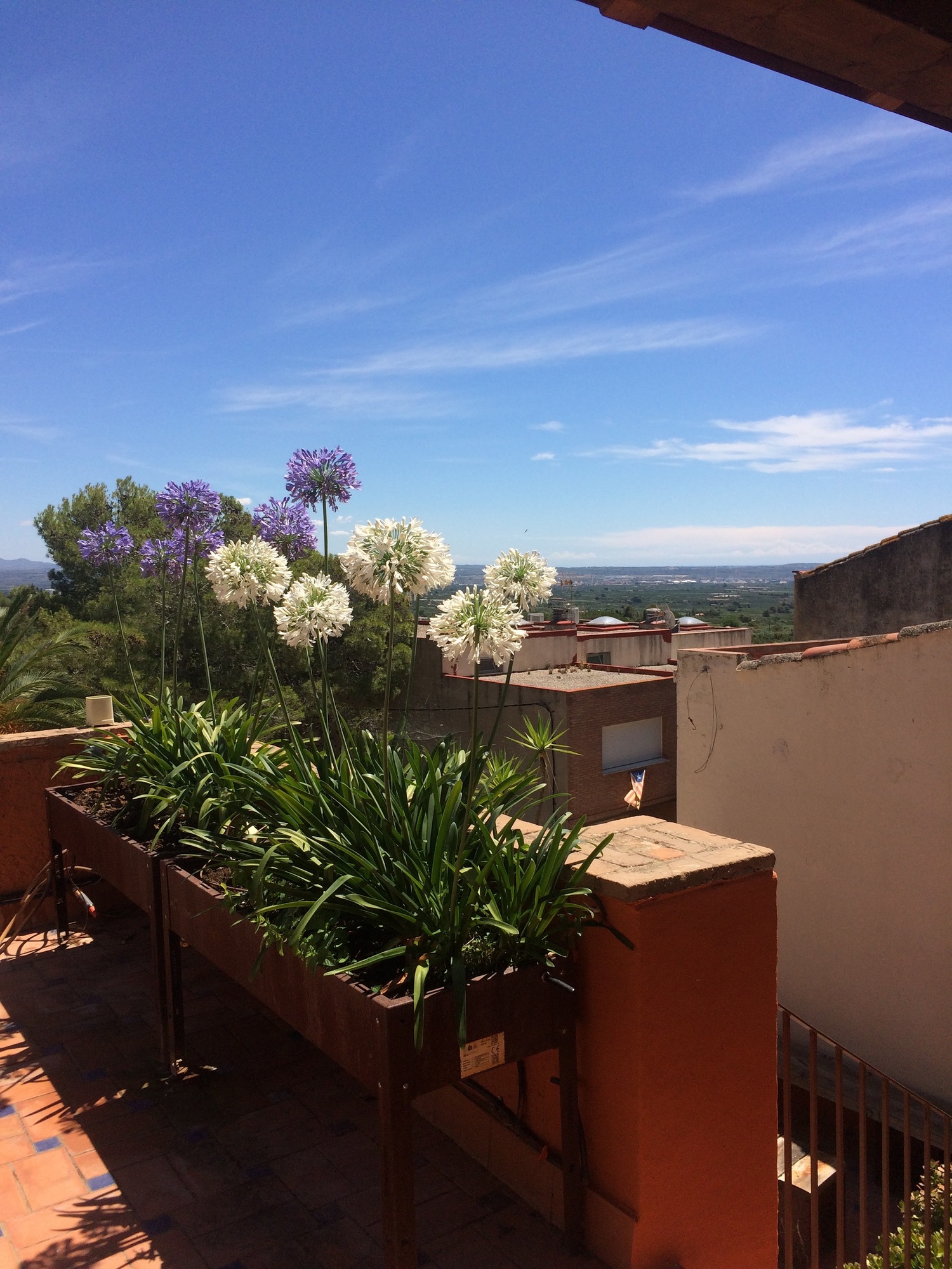 Propertista_Almoster_terraza_vistaflores.jpg
