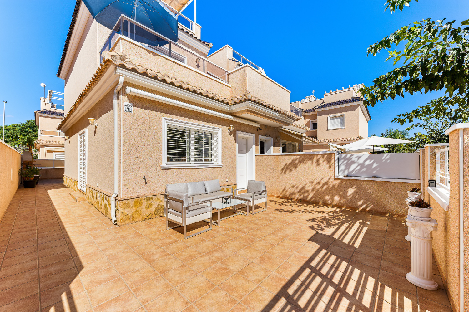 Gladiolo 52 - Pilar de Horadada (4).jpg