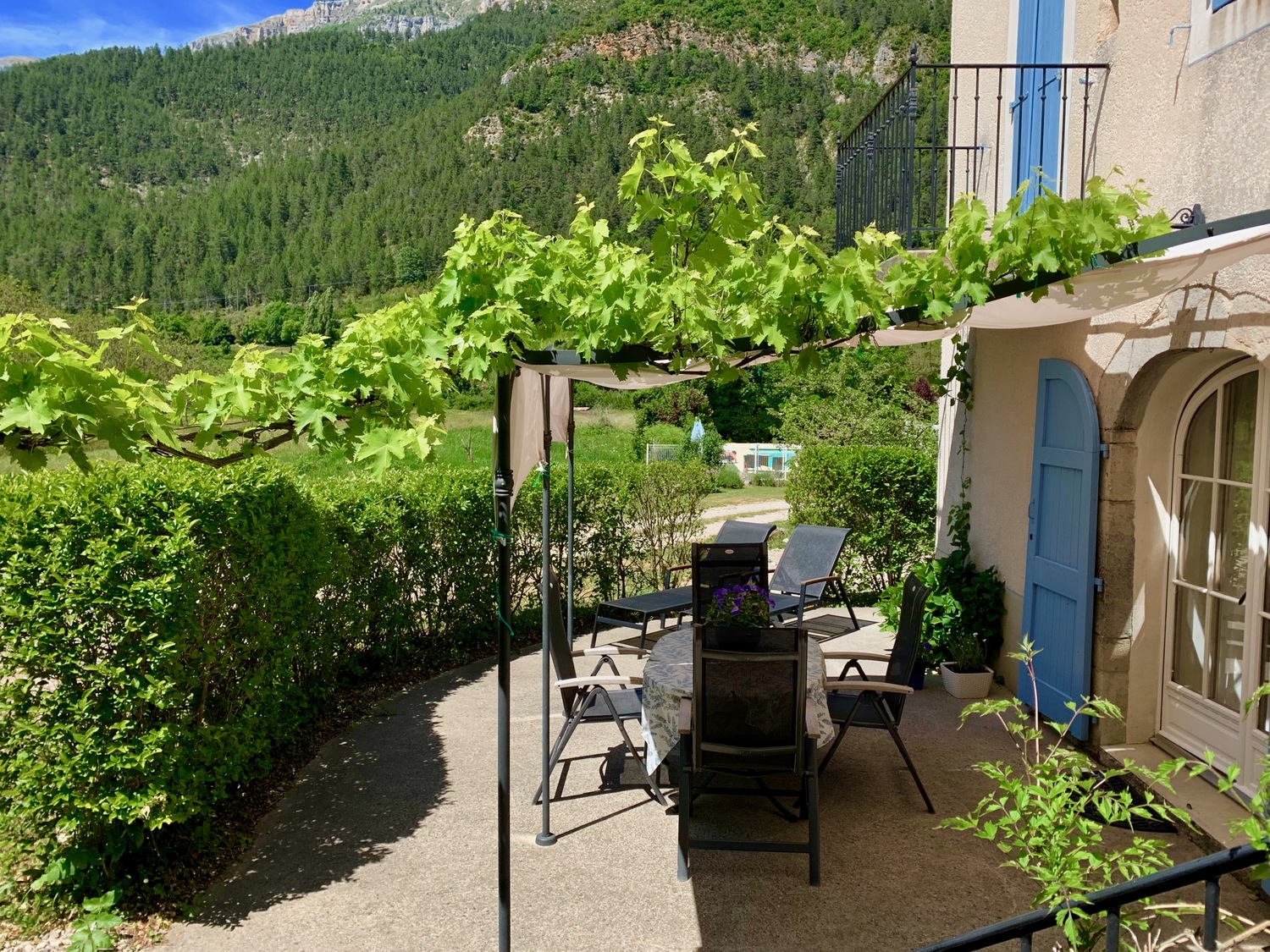 2019-06-08 14.59.35.jpeg