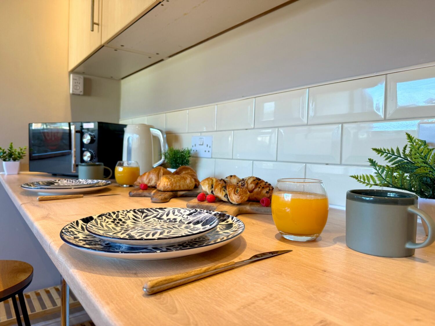 PHOTO-2026-01-22-19-20-14 2.jpg