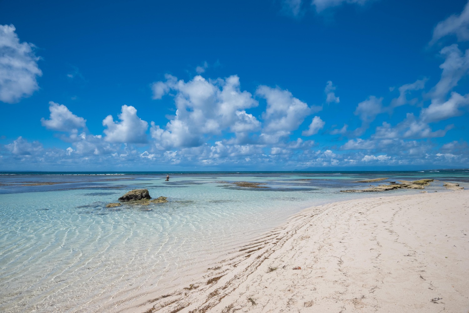 Studio Anse des Rochers 110424©JessicaLaguerre-0564.jpg