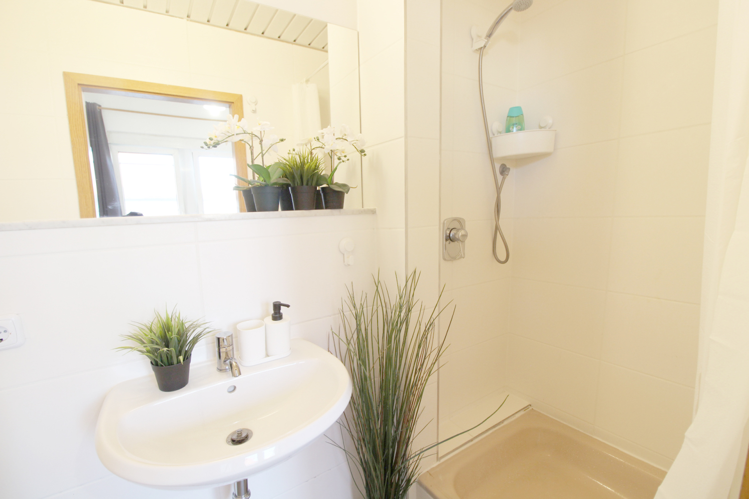 2023-06-25 - bath-c_b.jpg