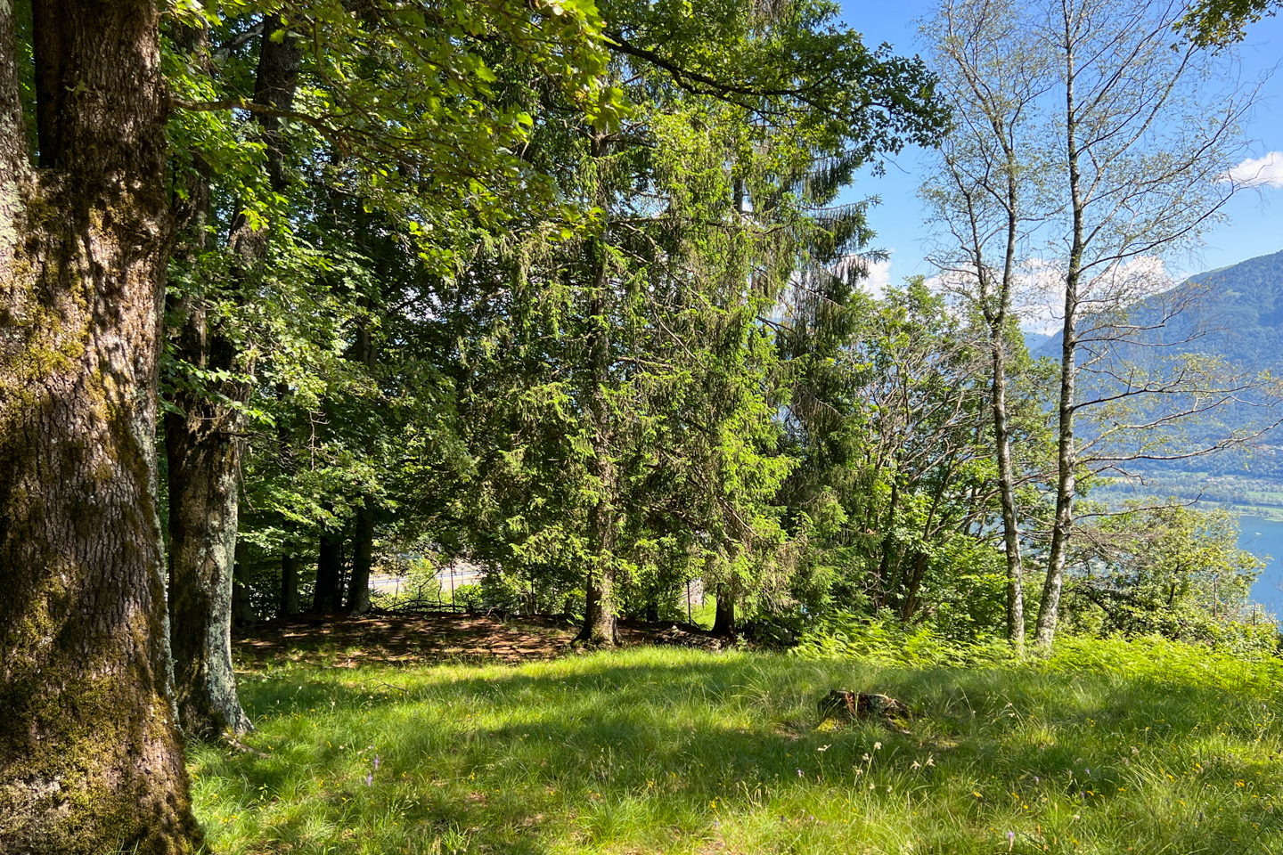 eremo del rico-13.jpg