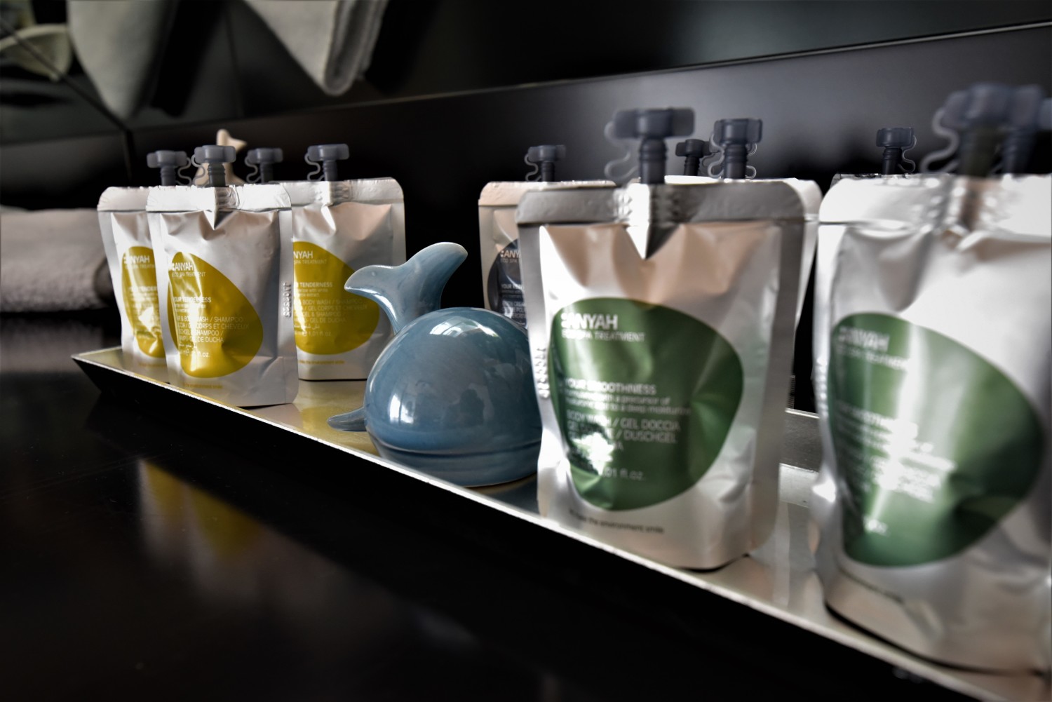 Bathroom Amenities Zoom IV (2).JPG