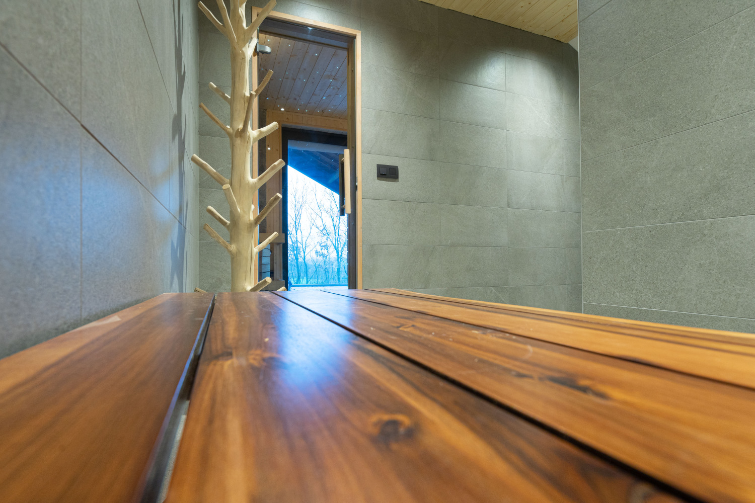 Bridge into the Nature Web-02887.jpg