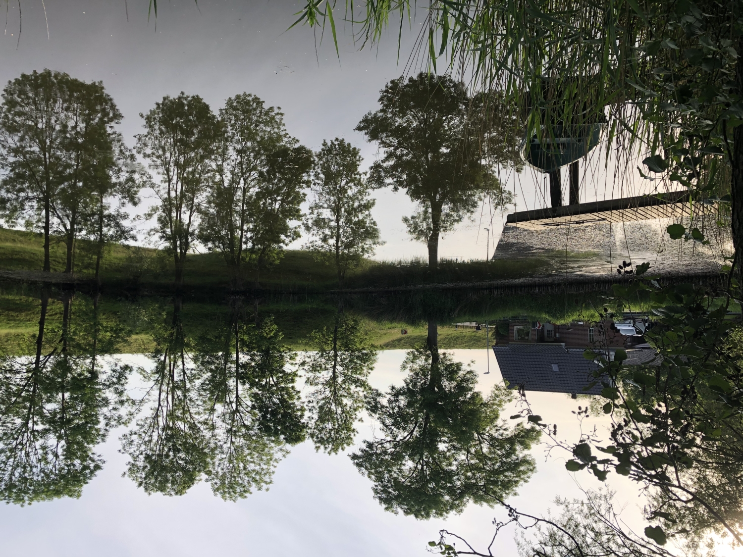 2020-06-02 19.42.43.jpg