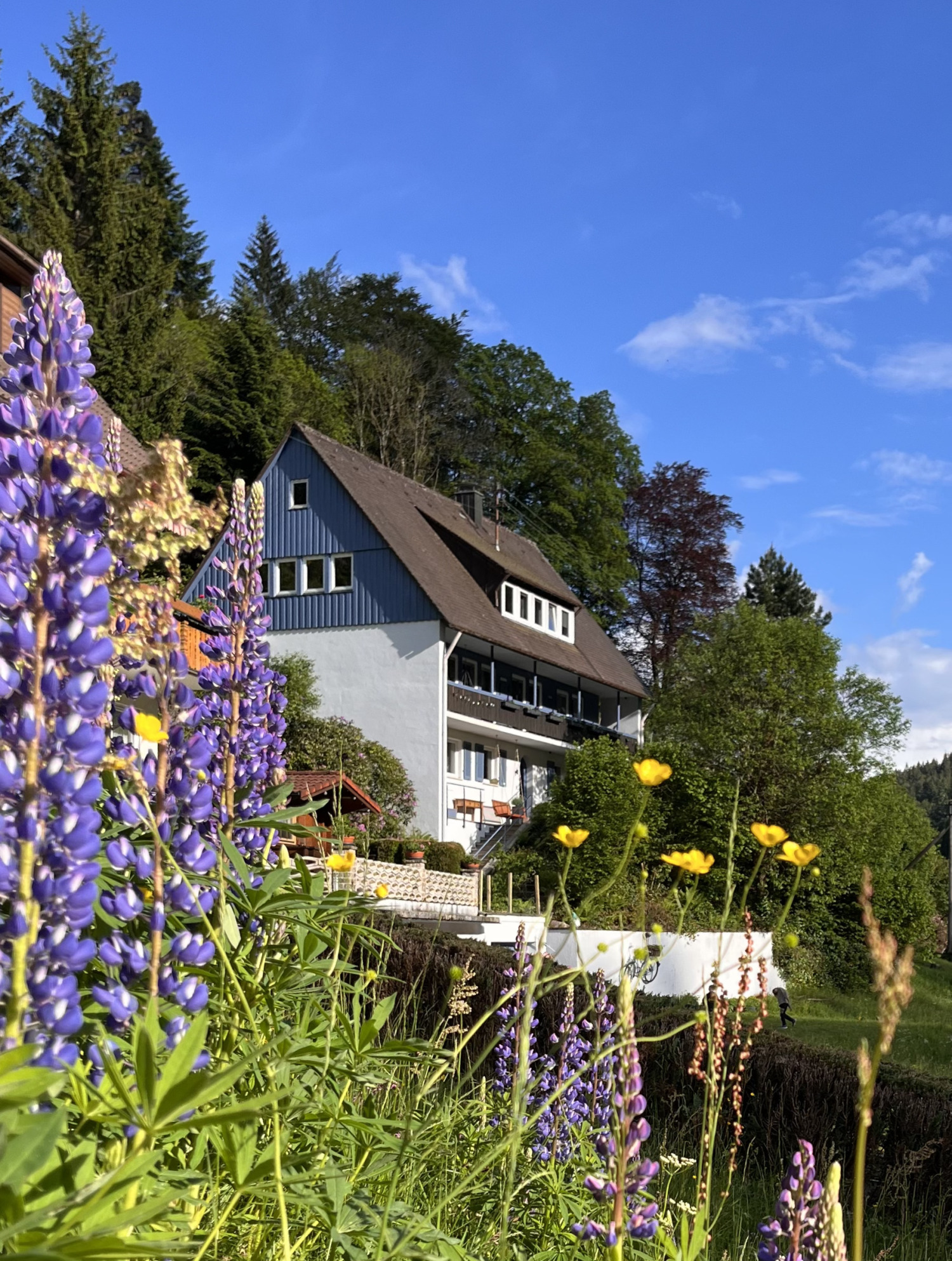 2024-05-25_18-29-18_567 (2024-08-19T10_05_32.579).jpeg