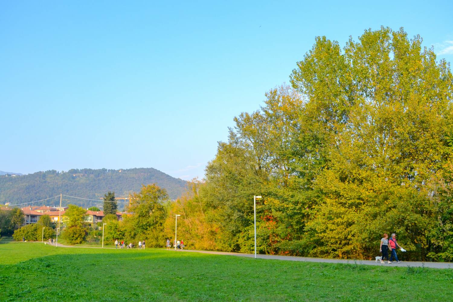 DSC_0410-min.jpg