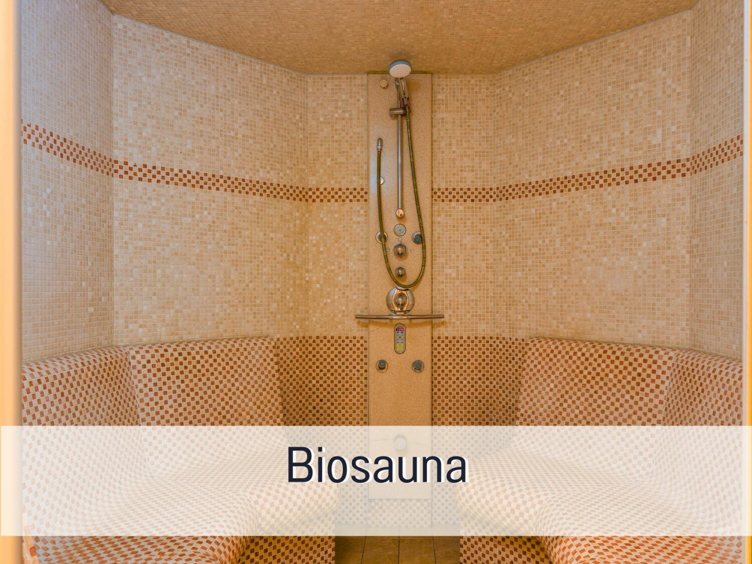 Biosauna.jpg