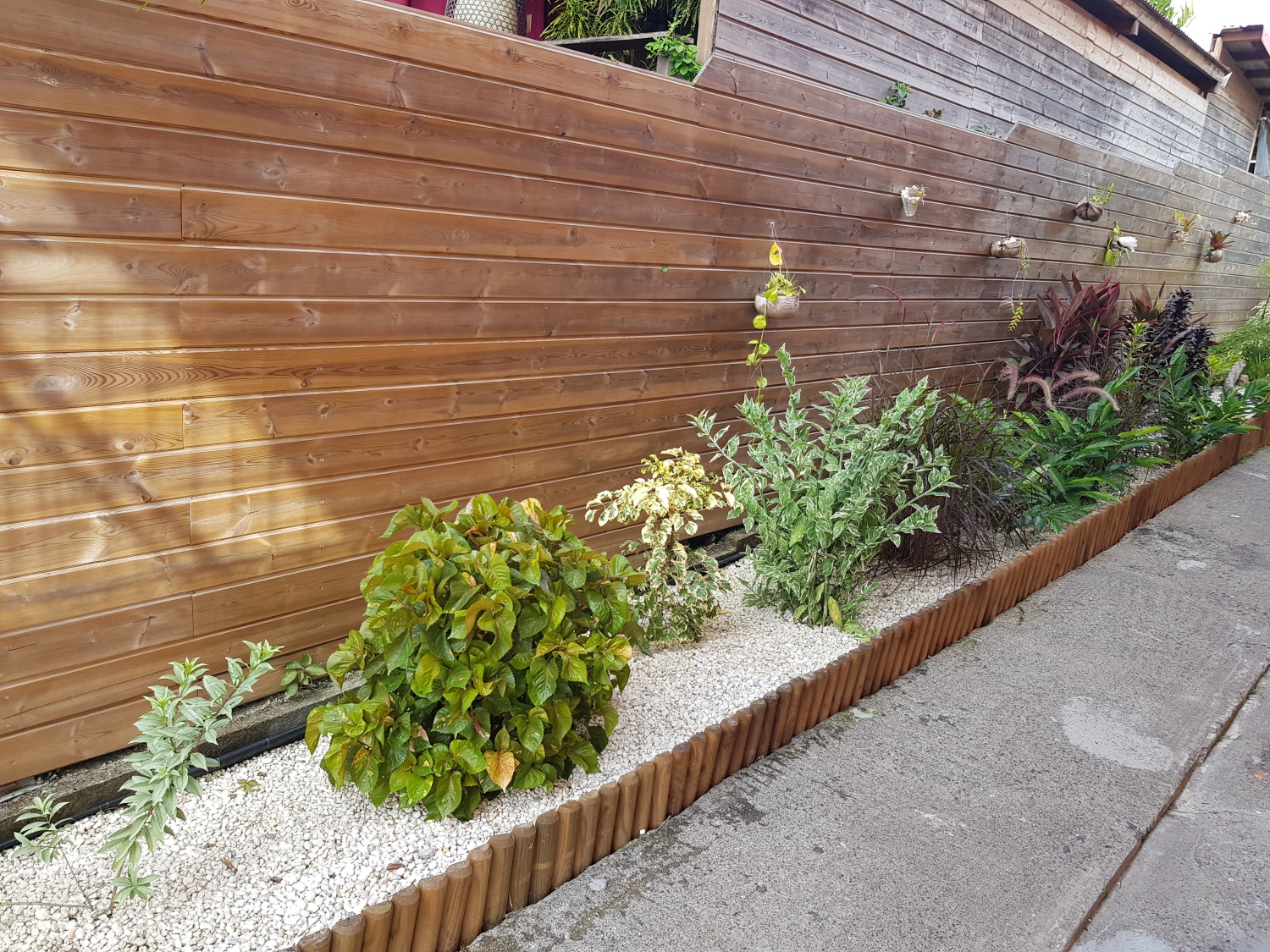 RDC Goyavier (27).jpg