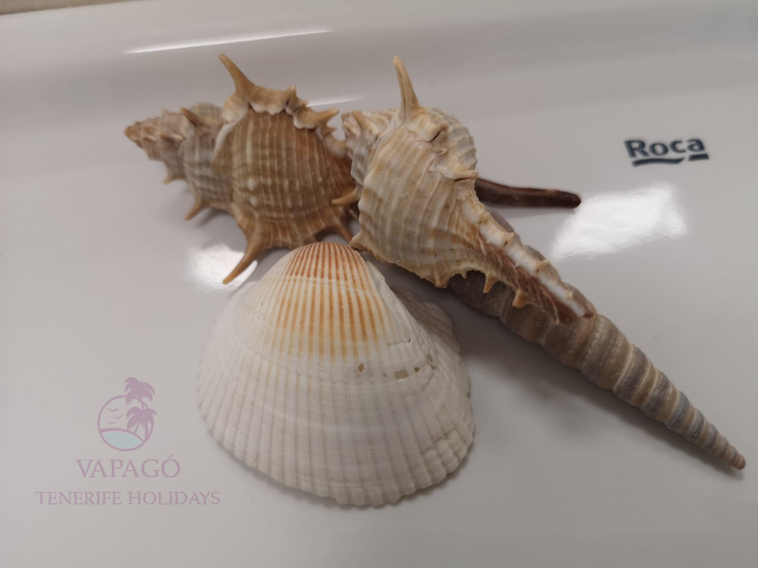 WhatsApp Image 2019-09-03 at 14.31.24(1).jpeg