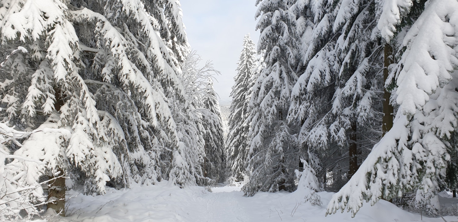 Winterlandschaft umgebung (3).jpg