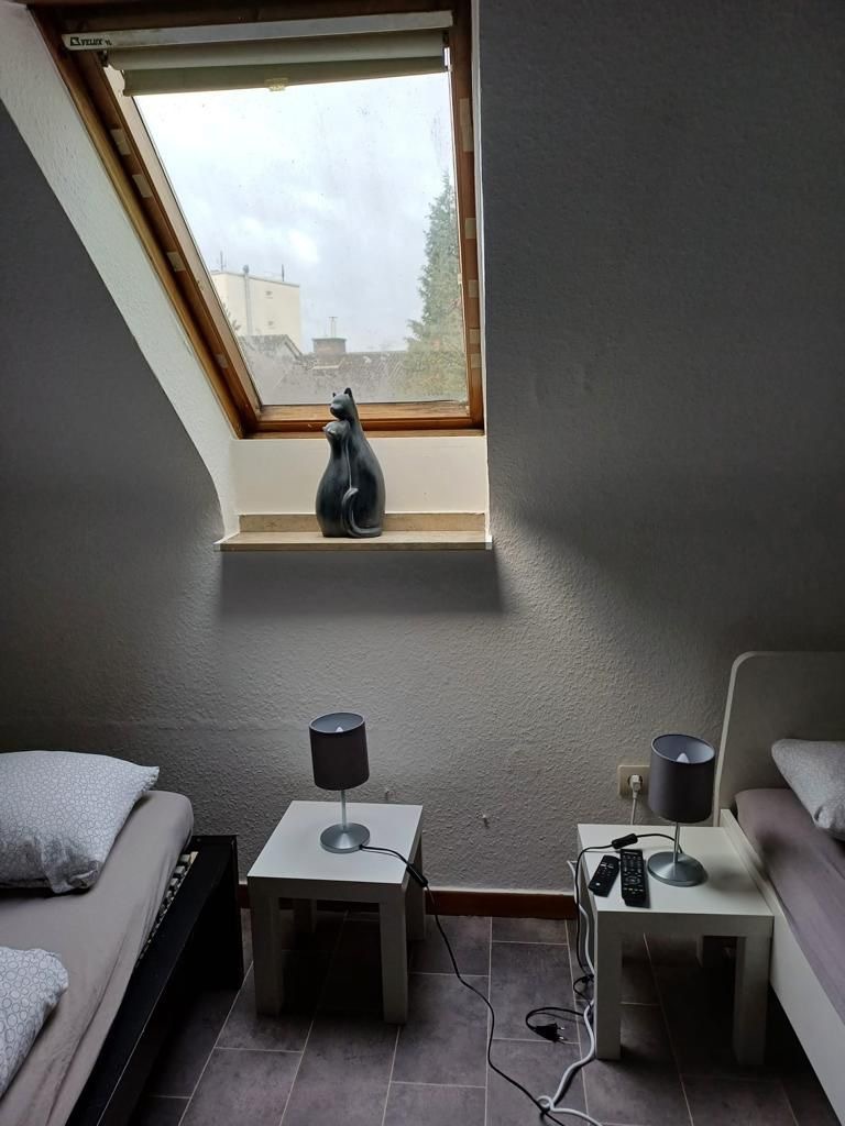 Poll DG Bilder (1).jpeg