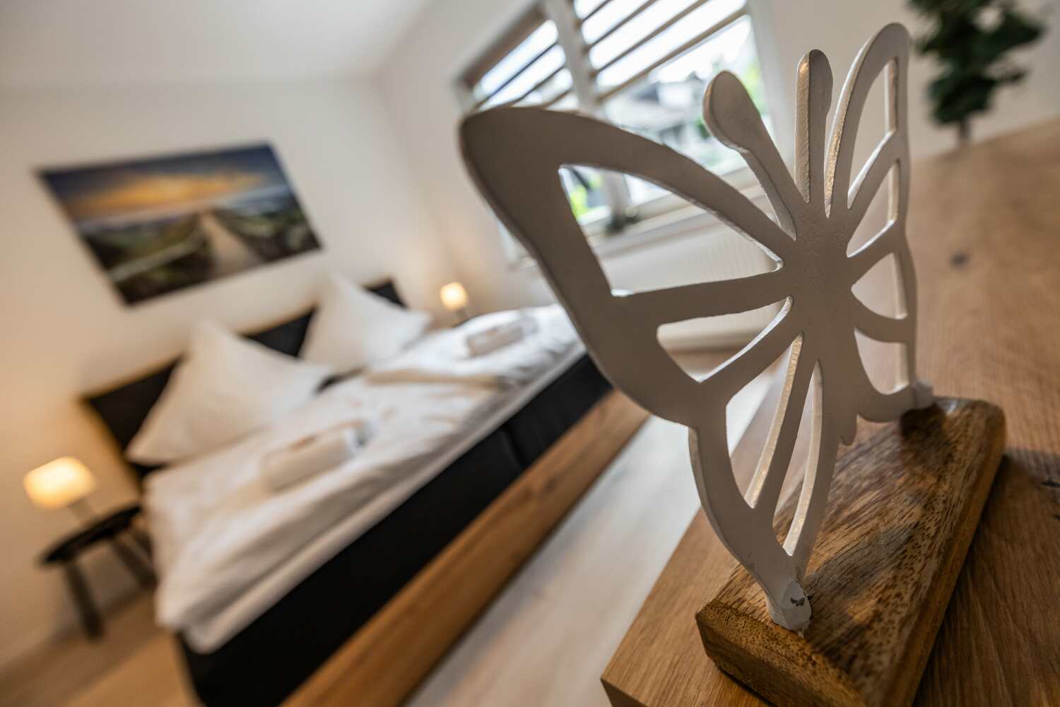 bildgewalt Frank_080724-107-min.jpg