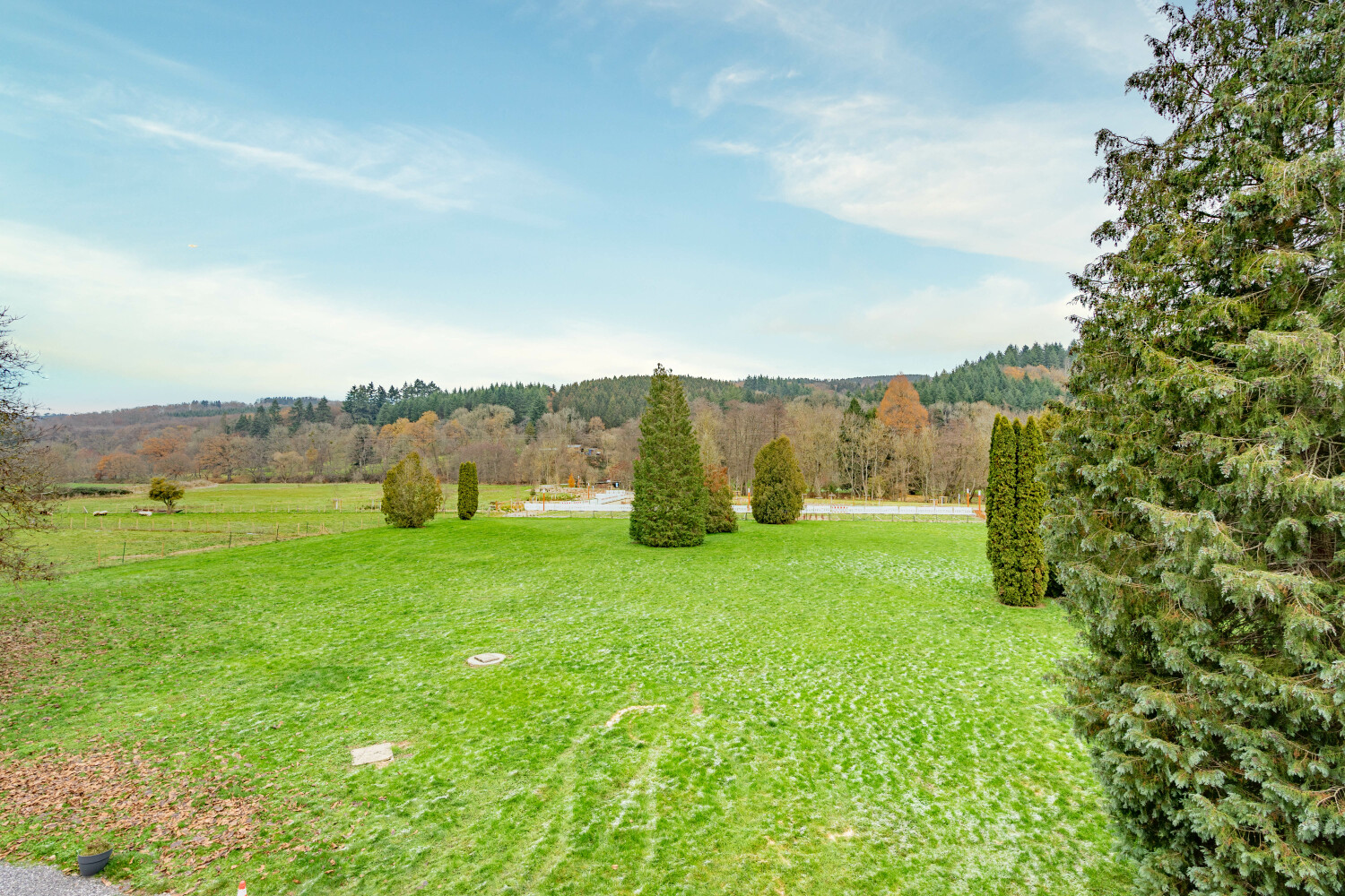 Au coeur du Bois Web--26.jpg