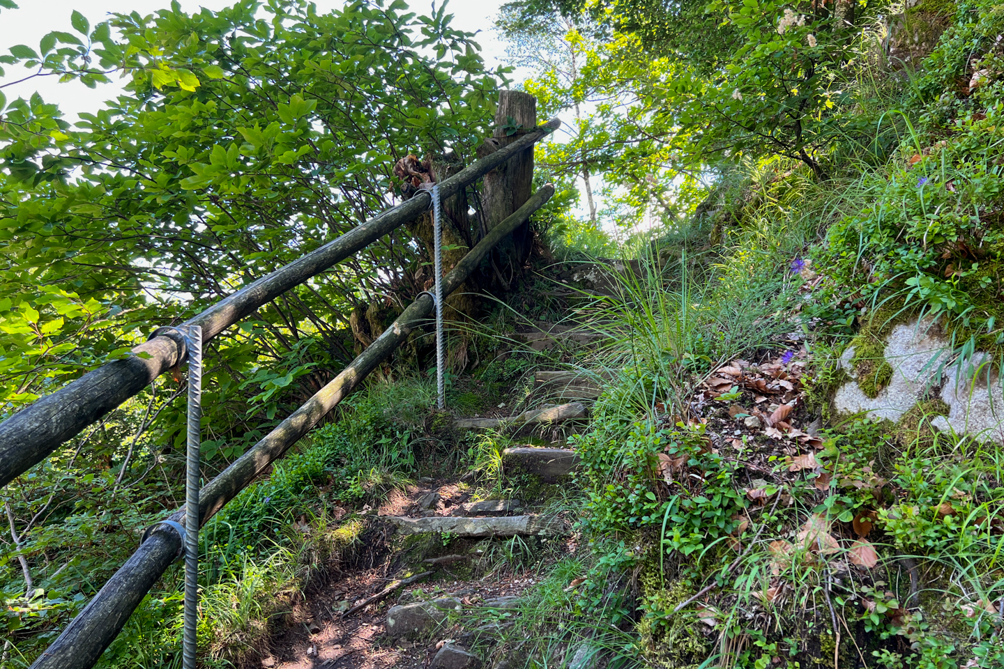 eremo del rico-05.jpg