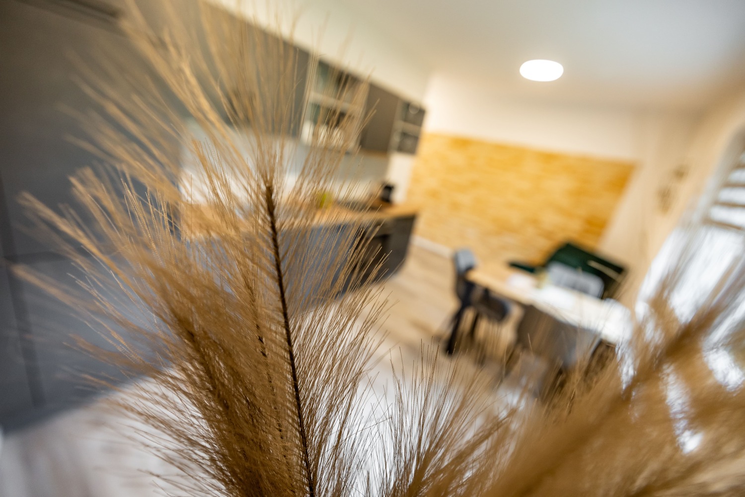 bildgewalt Frank_080724-146-min.jpg