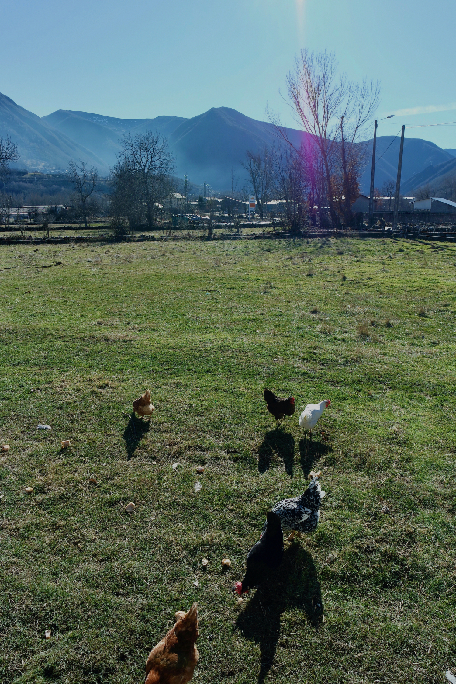 65 Parreiro Patio.jpeg