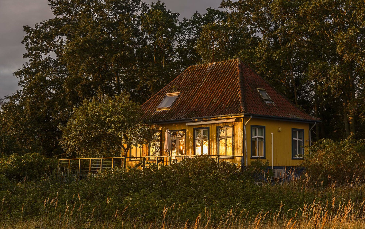 morgenlicht_A328277 m.JPG