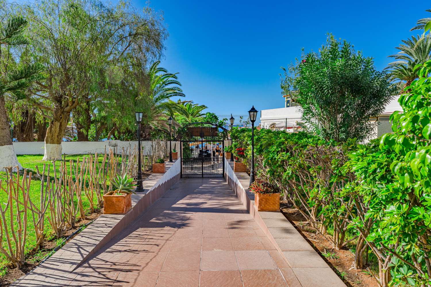 20231208 - 15 - Elfida - Los Cristianos-11.jpg