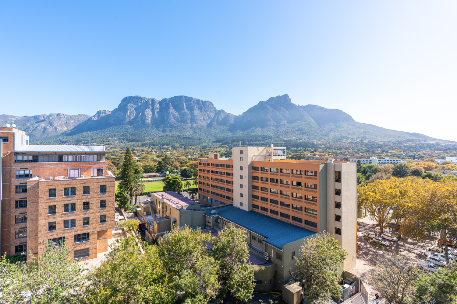 832 Newlands Peak-13.jpg