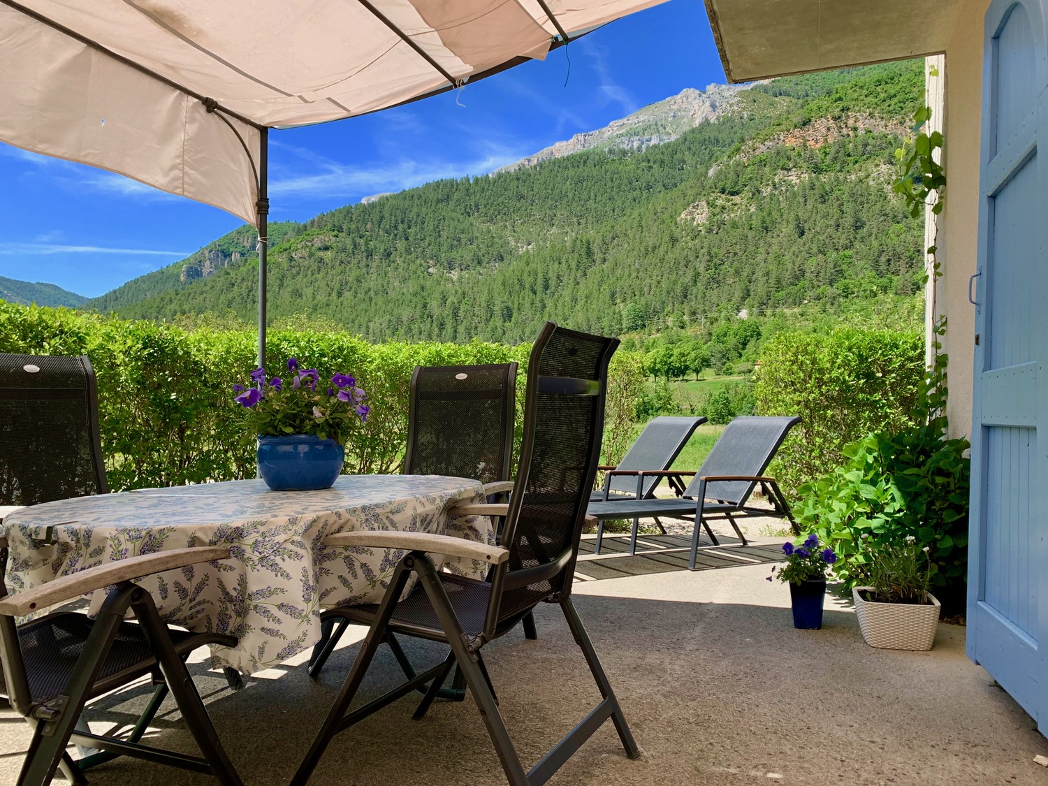 2019-06-08 14.59.08.jpeg