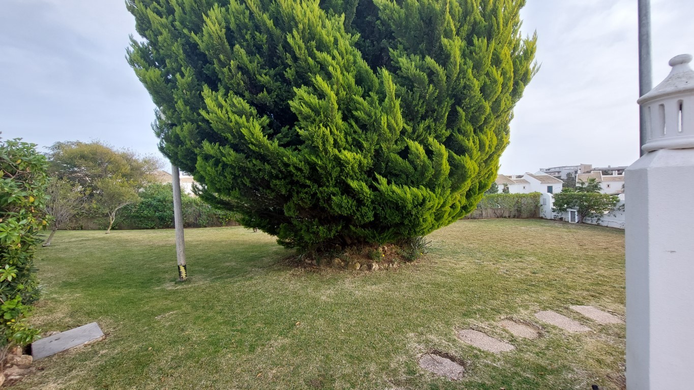 20220212_163601 (Medium).jpg