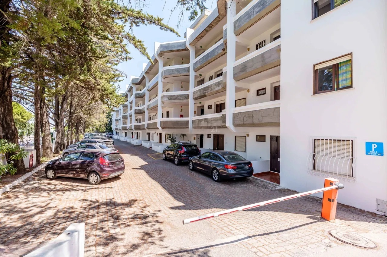 Vista Parque Carros.jpg