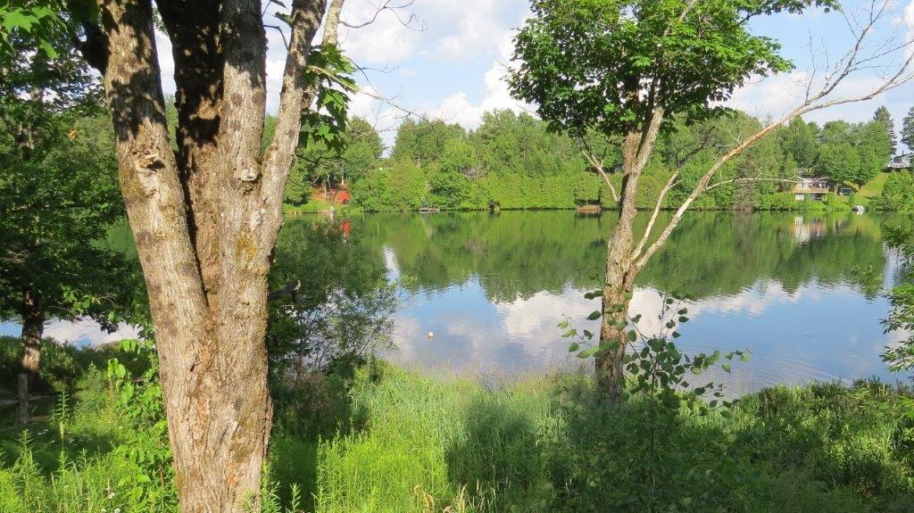 22- Vue du Lac Perchaude s Chalet Le Belle Brune Saint-Ttite Mauricie le  08-07-2020 (12) - Copie.jpg
