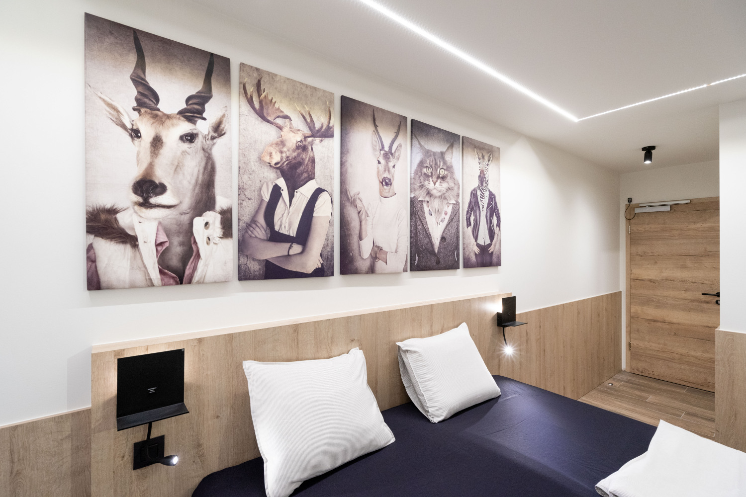 Bridge into the Nature Web-03017.jpg