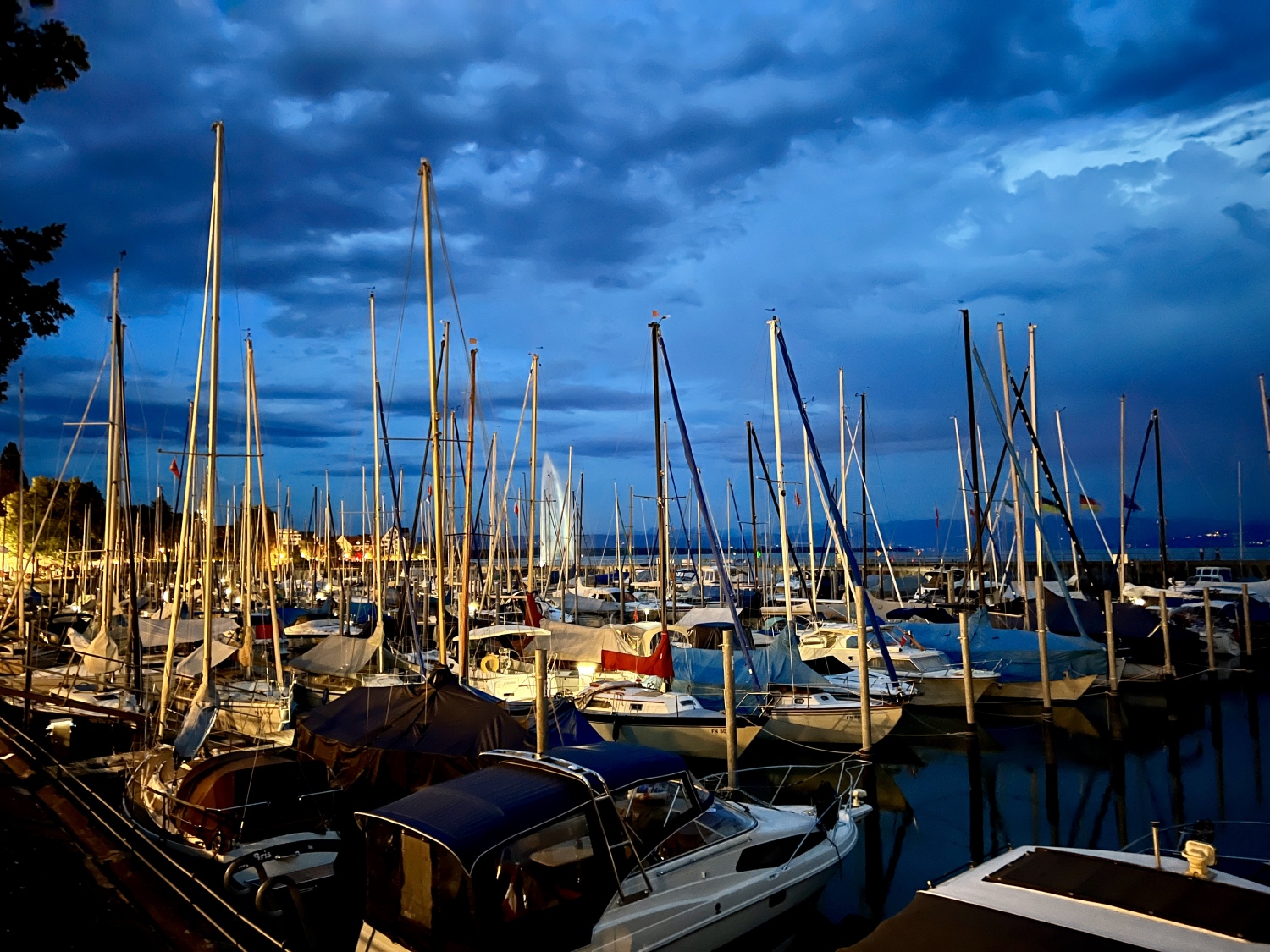 IMG_2940 reduziert.jpeg