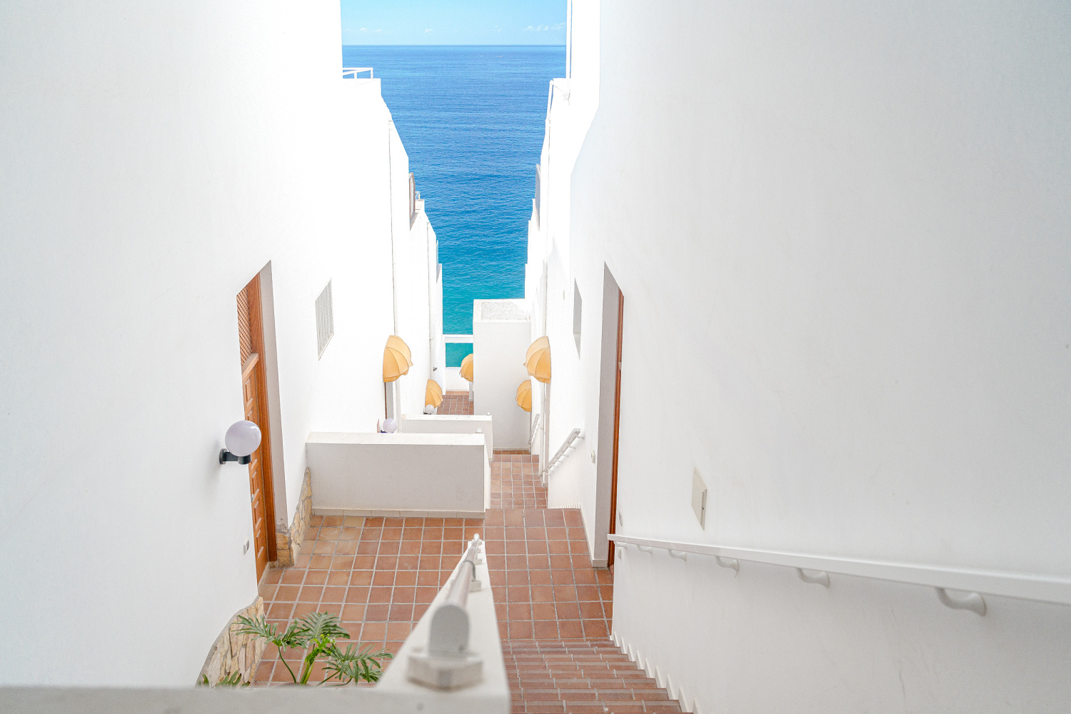 20241023 - 65 - Mi Paraiso - Los Gigantes +94detalles FVx3-158.jpg