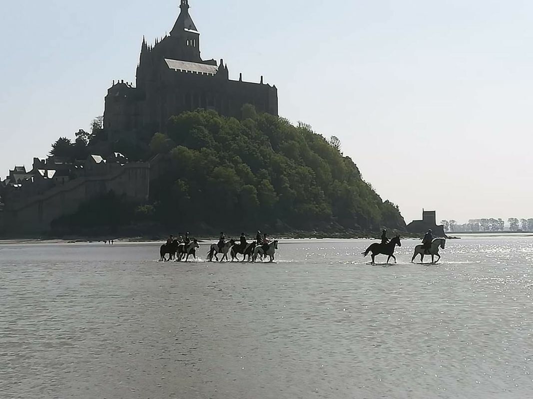 msm cavalier dans la mer.jpg