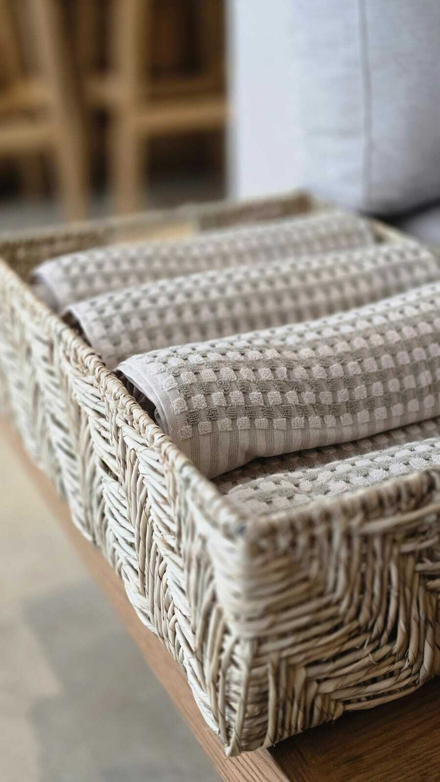 WhatsApp Image 2025-08-06 at 2.07.07 PM.jpeg