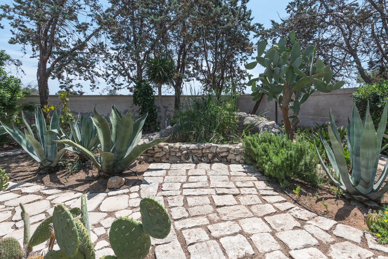 Villa Patrizia_60.jpg