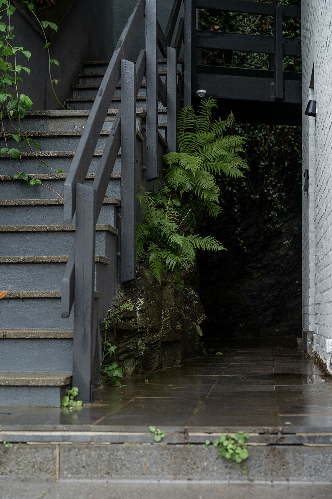 LE CORUMENT shoot 3 - niccola.be-99.jpg