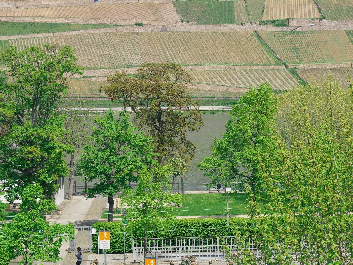 Aussicht Rhein nah.jpg