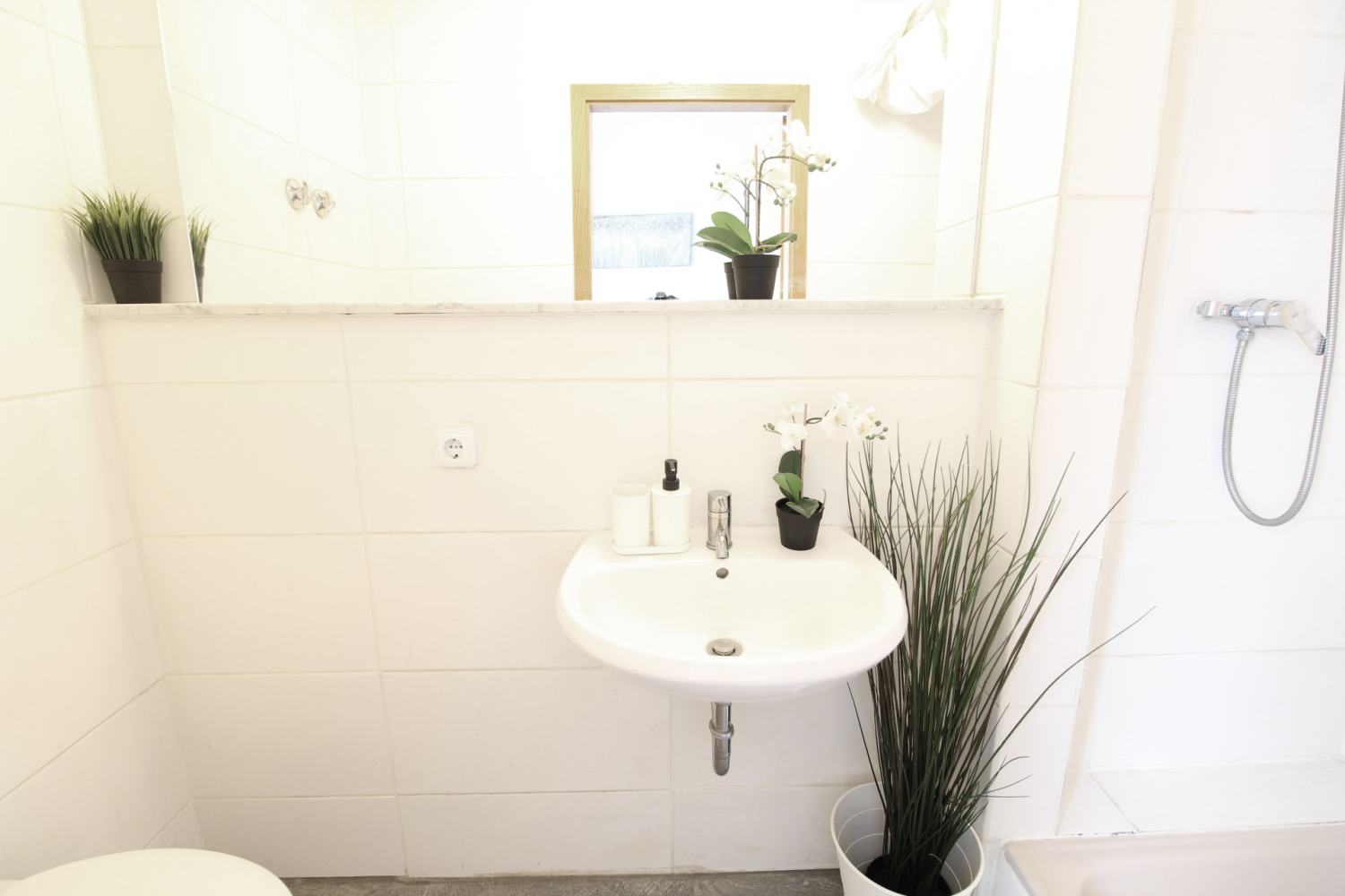 2022-12-09 - 301 - Bad-b_b.JPG