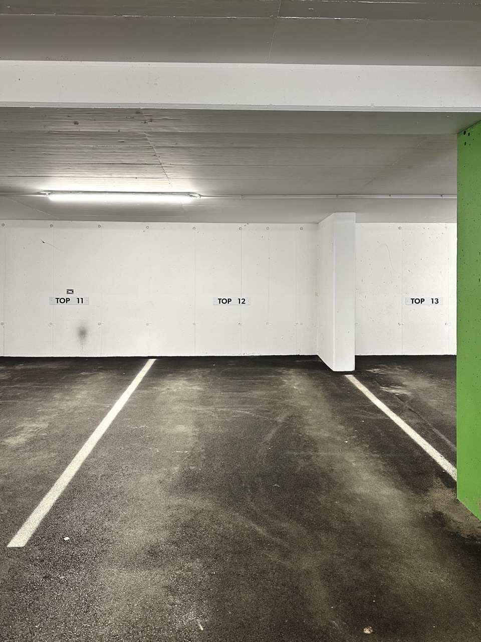 Groß (IMG_7962).jpeg