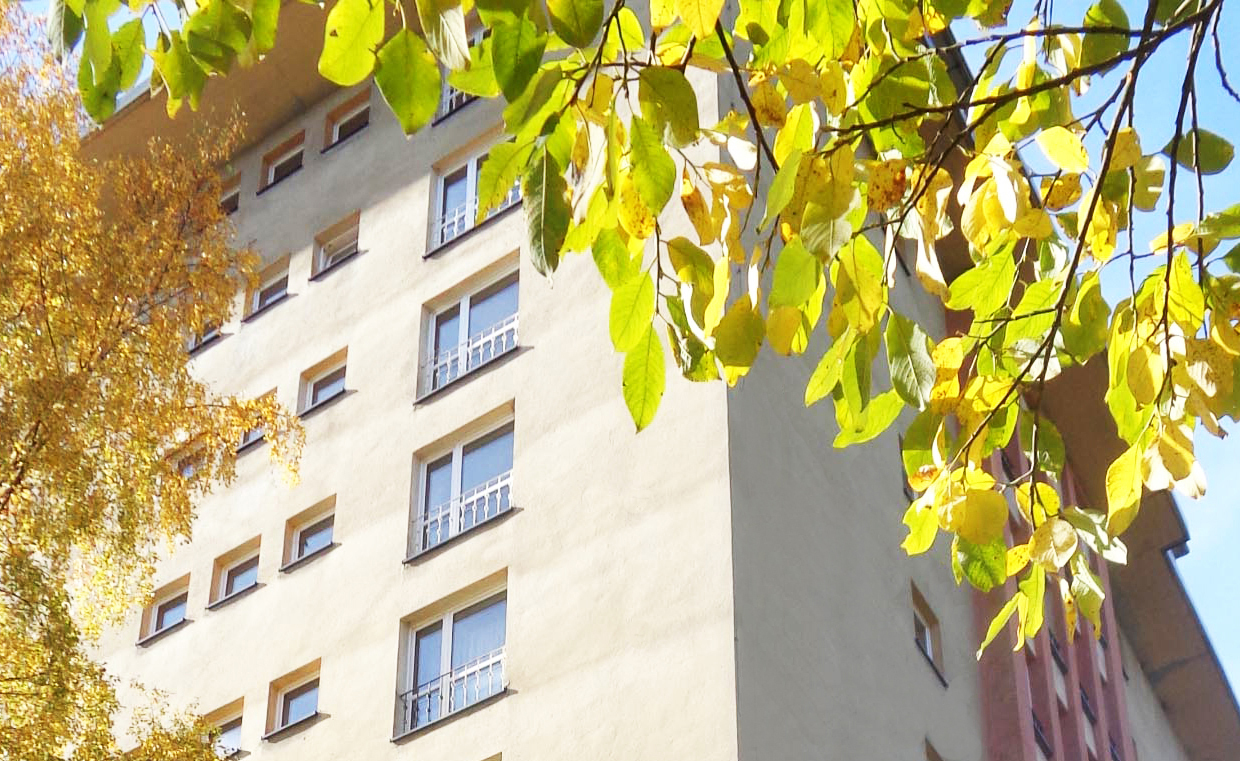 DSC06457 Kopie neu.jpg