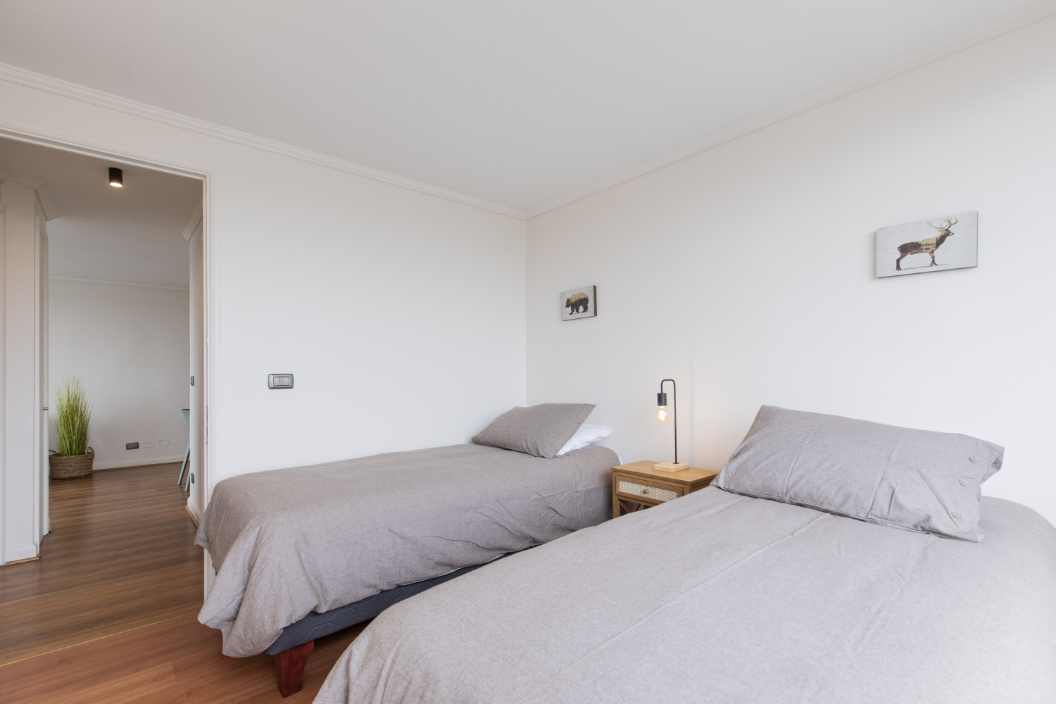 Foto MM275 d1304 (15).jpg