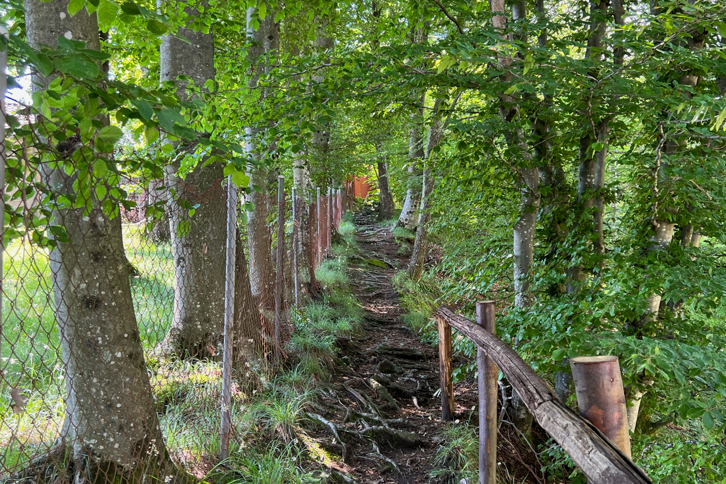 eremo del rico-06.jpg