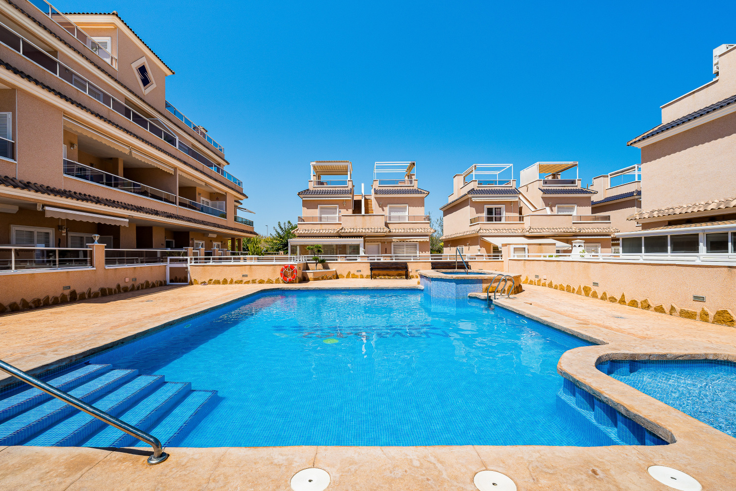 Gladiolo 52 - Pilar de Horadada (38).jpg