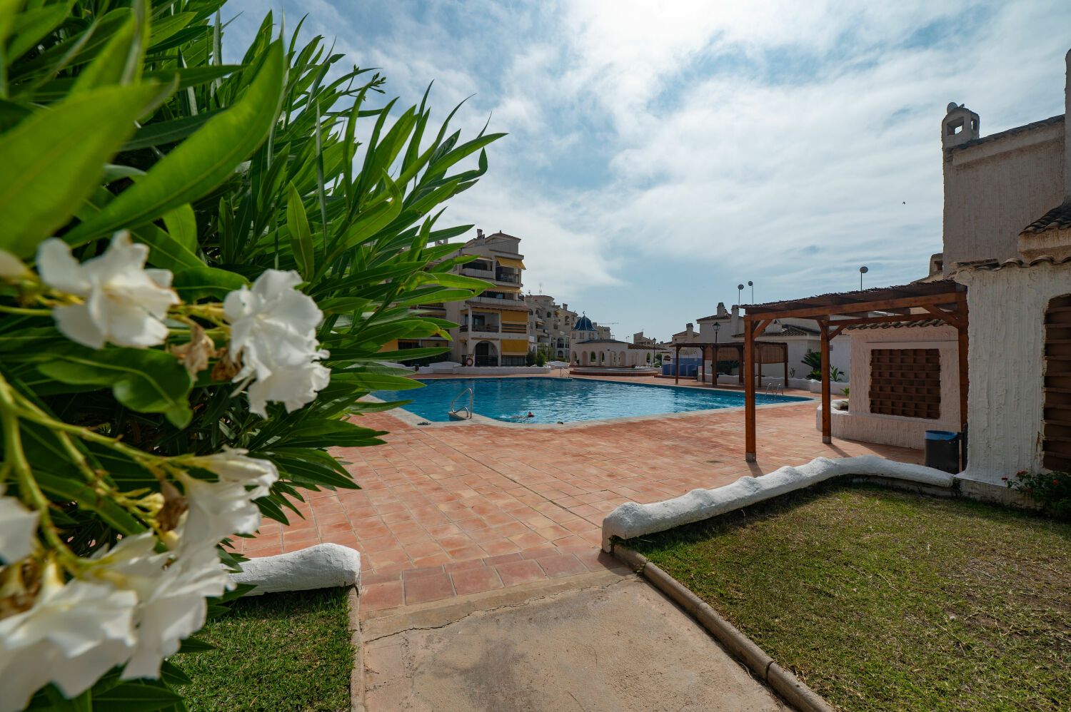 dsc_8379-36989-XL (1).jpg