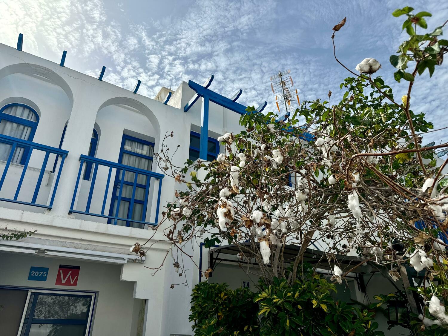 WhatsApp Image 2025-07-28 at 20.03.17.jpeg