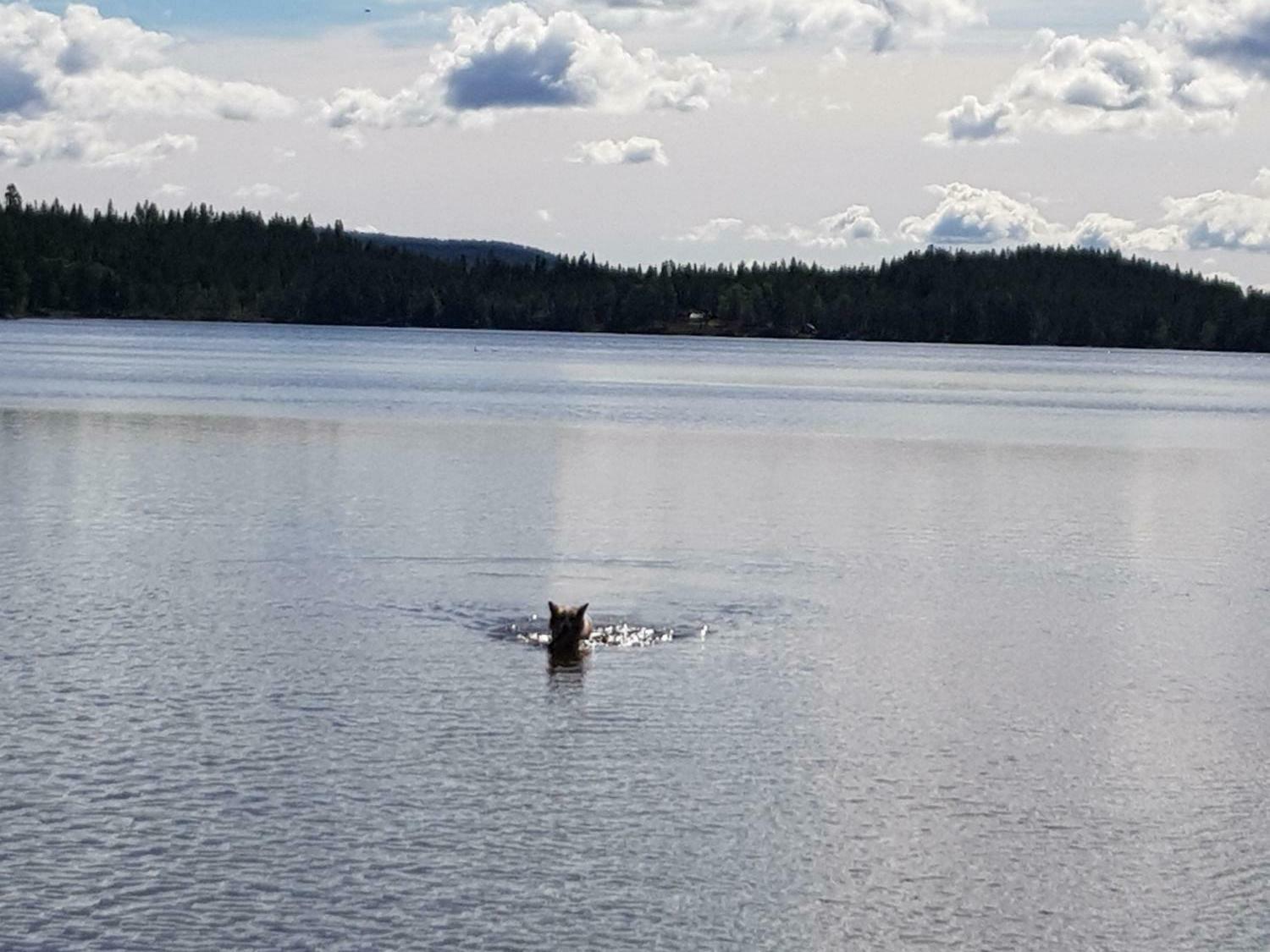 2019-03-07 17.41.05.jpg