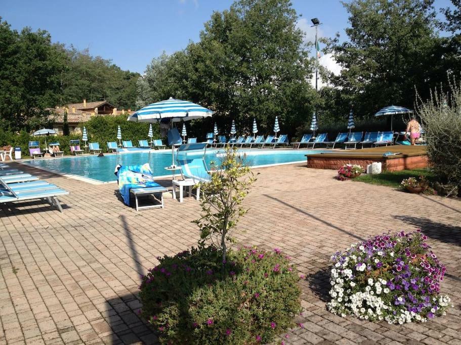 TERRE GIALLE PISCINA ax2.jpg