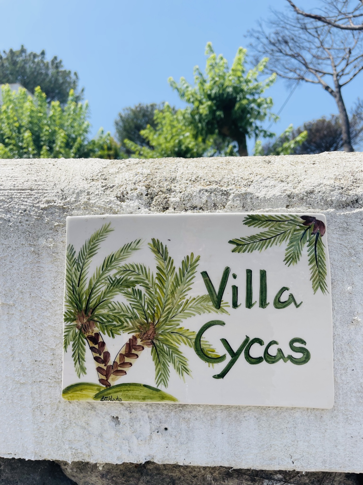 villa cycas (2).JPEG