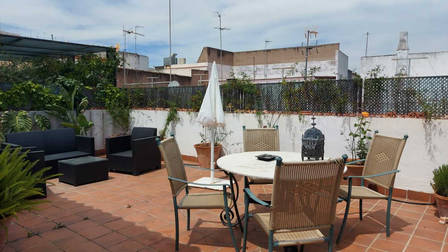 WhatsApp Image 2021-05-09 at 22.49.35.jpeg