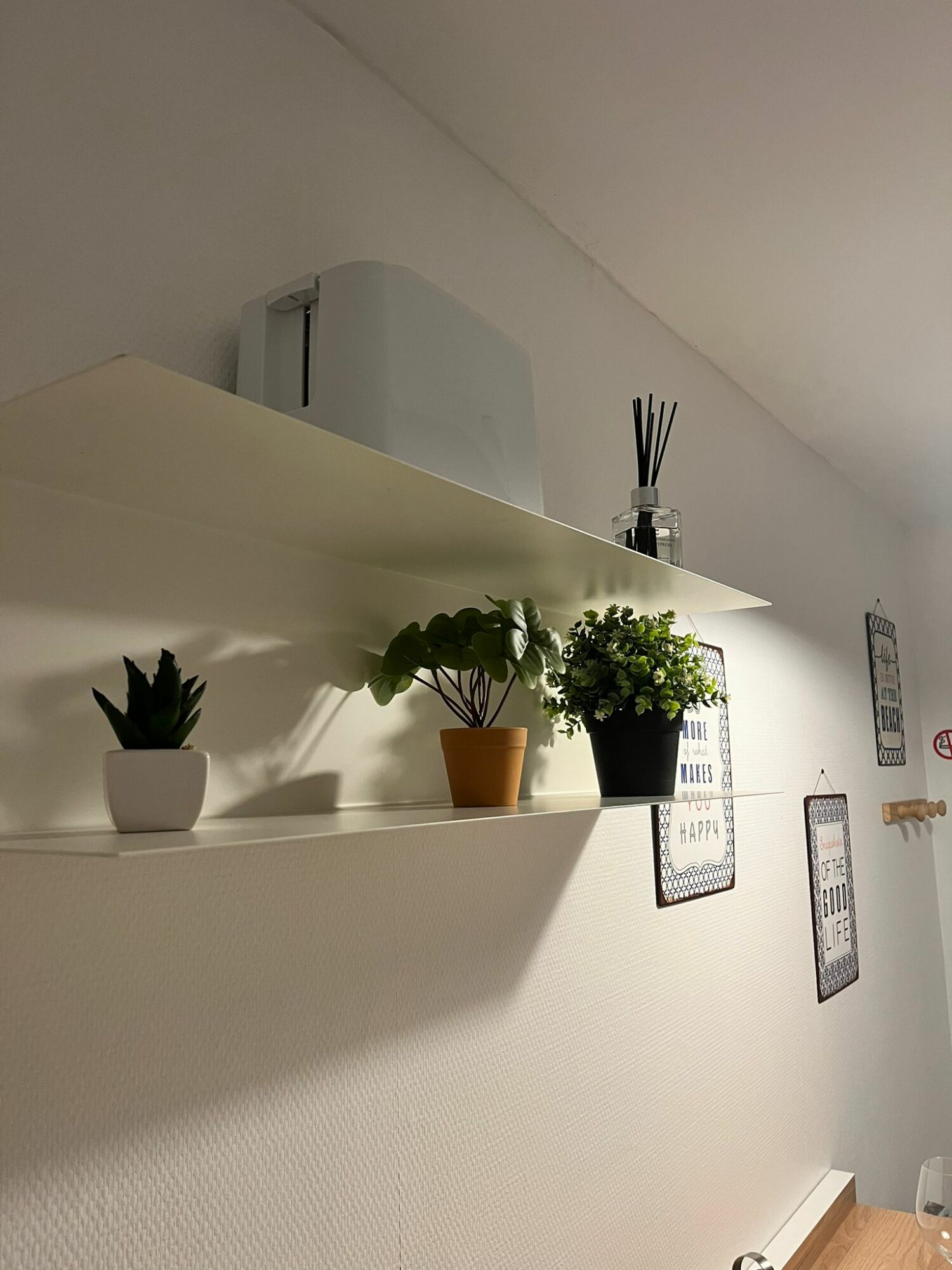 PHOTO-2025-01-07-23-11-29 4.jpg